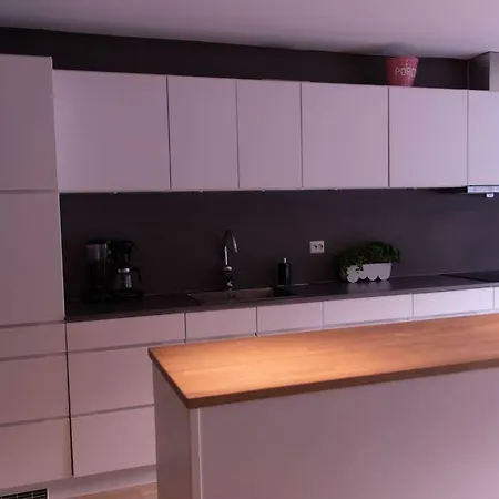 Modern House Perfect For Families Near The Zoo